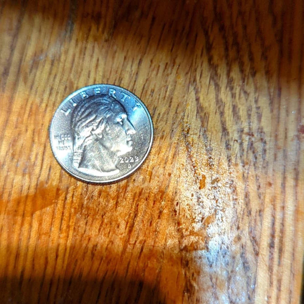 2023 quarter Jovita Idar